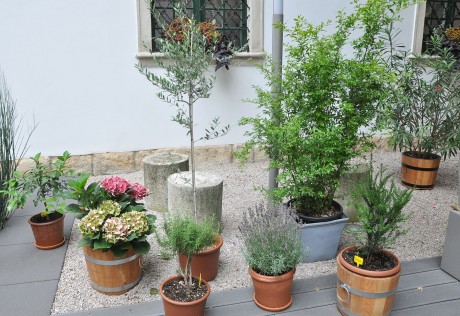 Egész nyáron látogatható a Patikamúzeum Kertészkedő szerzetesek című tárlata